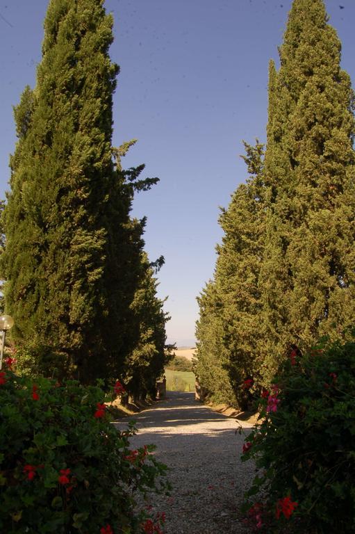 Agriturismo San Francesco Amalia And Anna Orciatico 외부 사진