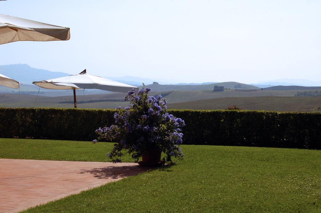 Agriturismo San Francesco Amalia And Anna Orciatico 외부 사진