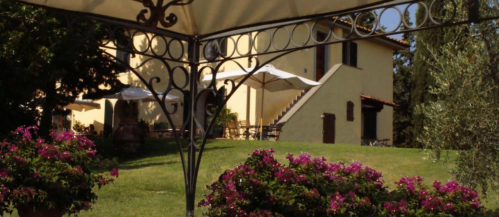 Agriturismo San Francesco Amalia And Anna Orciatico 외부 사진
