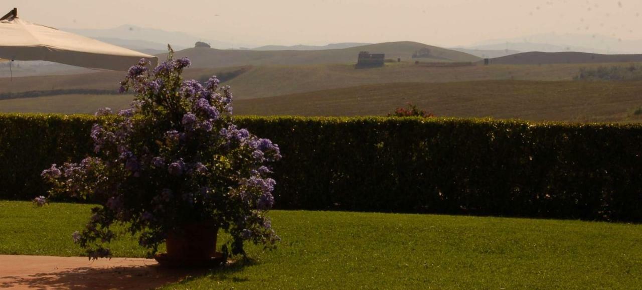 Agriturismo San Francesco Amalia And Anna Orciatico 외부 사진